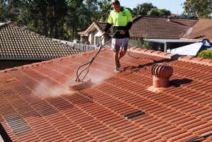Roof cleaning Se